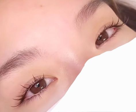 Eyelashes Individual Lashes Korean, Natural Manhua Lashes, Eyelash Extensions Small Eyes, Kpop Idol Lashes, Eyelash Claims For Dr, Japanese Eyelash Extensions, Monolid Eyelash Extensions, Monolid Lash Extensions, Eyelash Extensions Korean