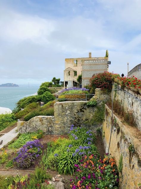 San Francisco Alcatraz, Alcatraz Island, Cali, San Francisco, California, Photography, Travel, Quick Saves