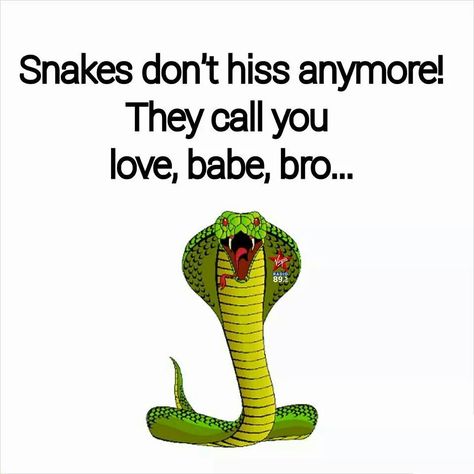 Snake, traitor, friend, fake Fake Ppl Quotes, Snake Quotes, Fake Love Quotes, Buddha Quotes Life, Fake People Quotes, Two Faced, Savage Quotes, Cute Attitude Quotes, Fake People