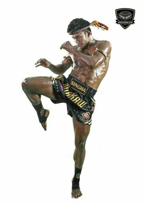 Martial Arts Photography, Muay Boran, Muay Thai Martial Arts, Guerriero Samurai, Boxe Thai, Muay Thai Training, Action Pose Reference, Male Pose Reference, Thai Boxing