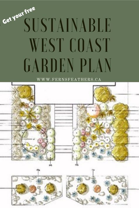 Garden designer Alexa LeBouef Brooks is changing the world around her by creating exquisite natural gardens in the Seattle area. Her Pacific West Coast designs specialize in developing a more sustainable, woodland or naturalized gardening approach. Check out her design plans to get ideas and tips for your own garden. Gardening | garden tips | garden ideas | west coast gardening | West Coast Garden Ideas, West Coast Landscaping Ideas, West Coast Backyard, Ecological Garden, Backyard Bohemian, Pacific West Coast, Natural Gardens, Sustainable Garden Design, Pacific Northwest Garden