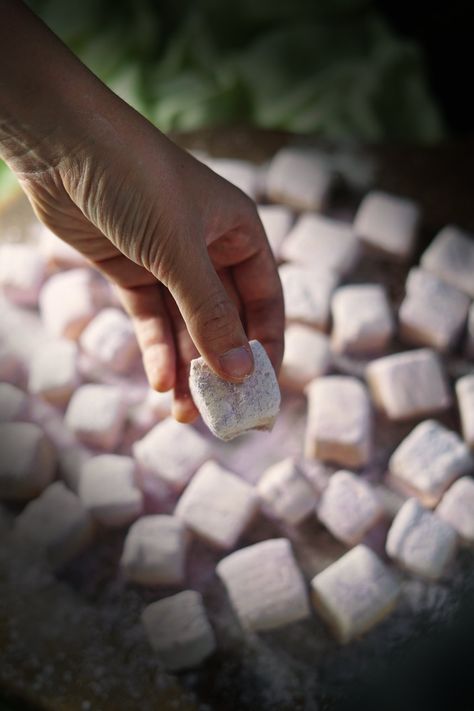 Heart-Opening Maple Marshmallows with Shatavari, Damiana, and Wild Rose — The Wondersmith Maple Marshmallows, Herbal Candy, Heart Opening, Marshmallow Fluff, Tea Sandwiches, Wild Food, Wild Plants, Wild Rose, Edible Flowers