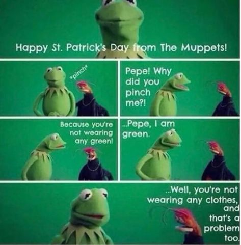 34 Funny St. Patrick's Day Memes To Celebrate The Luck Of The Irish What I Like About You, Now Quotes, Fraggle Rock, Humor Mexicano, Online Comics, The Muppets, Magnum Opus, Clean Humor, Have A Laugh