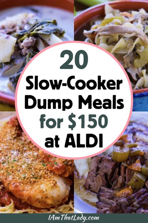 Slow Cooker Dump Meals, Slow Cooker Dump, Crockpot Dump Recipes, Dump Recipes, Frugal Meal Planning, Aldi Meal Plan, Cheap Family Meals, Recipes Slow Cooker, Aldi Recipes