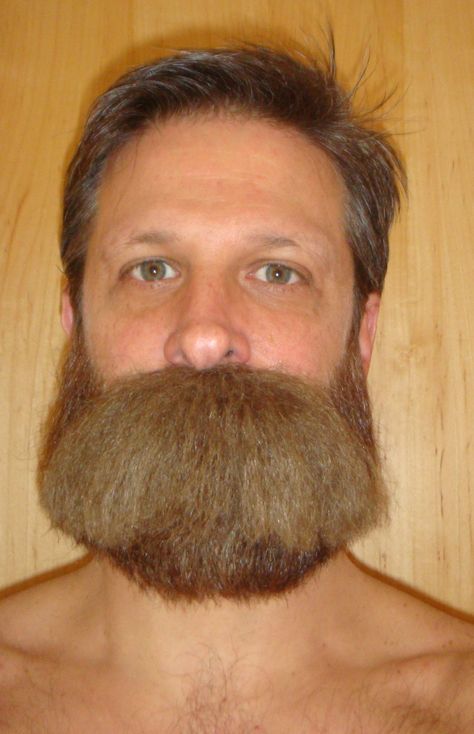 Huge mustache beard Men With Stubble, Walrus Mustache, Community Bulletin Board, Big Moustache, Moustaches Men, Mutton Chops, Moustache Wax, Mustache Men, Big Beards