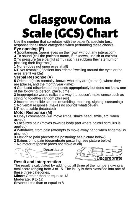 This infographic explains how to test and interpret a patient's level of consciousness using the glasgow coma scale. Physiotherapy Notes, Nremt Study, Medical Hacks, Coordinate Plane Worksheets, Glasgow Coma Scale, Nursing Questions, Level Of Consciousness, Nurse Study, Chart Infographic