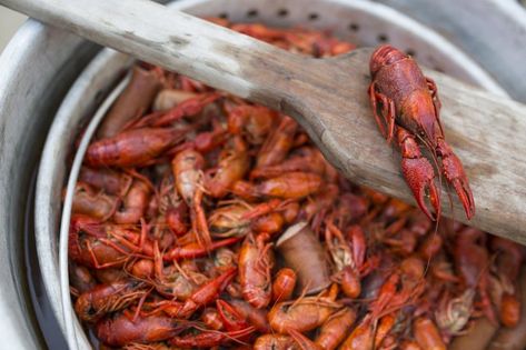 How To Cook Crawfish, Crawfish Boil Recipe, Shrimp And Crab Boil, Crawfish Recipes, Louisiana Crawfish, Small Red Potatoes, Car Poses, Crawfish Boil, Seafood Boil