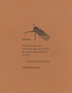 Cicada Art, Ivy House, Insect Art, Simple Green, Ap Art, Funny Cute Cats, Illustration Artists, Pretty Words, Writing A Book