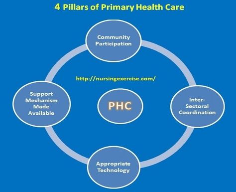 Four Major Pillars of Primary Health Care System (PHC) Primary Health Care, Biochemistry Notes, Best Business To Start, Appropriate Technology, Health Care System, Community Nursing, Critical Care Nursing, Medical Background, Elements And Principles