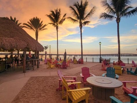 15 Best Restaurants in Port Charlotte, FL: A Culinary Journey Through the Gulf Coast Charlotte Restaurants, Port Charlotte Florida, Crab House, Peace River, Waterfront Dining, New York Style Pizza, Florida Restaurants, Fish House, Siesta Key