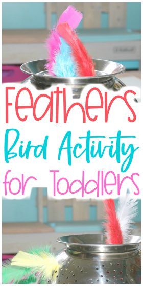 Practice hand eye coordination and fine motor skills with this Hidden Feathers Bird Activity for Toddlers. You're definitely going to want to check it out! #bird #preschool #feathers #toddlers Bird Preschool, Emergent Curriculum, Gross Motor Activity, Toddler Themes, Toddler Teacher, Activity For Toddlers, Lesson Plans For Toddlers, Hand Eye Coordination, Spring Animals