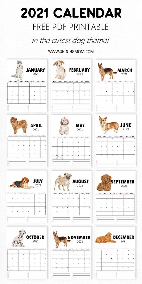 This is so cute! If you're looking for a 2021 calendar printable, grab this. It features hand-painted illustrations of dogs for each month. Perfect for organizing plans and schedules all year. Mom Calendar, Girls Lounge, Free Calendars, Milk Tart, Modern Calendar, Creative Calendar, Cool Calendars, Dog Calendar, Unique Planner