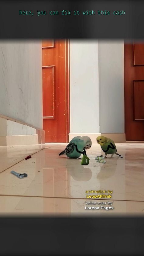 BUSTED Remastered (Sound On 🔈🔉🔊) [Video] in 2022 | Cute funny animals, Funny parrots, Funny animal jokes Parrots Funny, Funny Parrots, Animals Funny, Funny Birds, Funny Animal Jokes, Baby Animals Funny, Funny Animal Memes, Funny Cute Cats, Animal Jokes