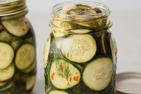 Homemade Refrigerator Pickles, Jenny Can Cook, Refrigerator Pickle Recipes, Apple Cider Vinegar Recipes, Vinegar Cucumbers, Zucchini Sticks, Butter Pickles, Quick Pickled Cucumbers, Refrigerator Pickles