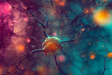 34 Neuron Subtypes Linked to Addiction - Neuroscience News Types Of Neurons, Nucleus Accumbens, Glial Cells, Brain Learning, Human Brain, Neurology, Neuroscience, Health Science, Brain