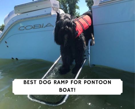 Best Dog Ramp for a Pontoon Boat - Top 5! (2021) - We Love Doodles Boat Ramp For Dogs, Ramps For Dogs, Dog Boat Ramp, Dog Ramp Diy, Dogs On Boats, Pontoon Ideas, Chum Bucket, Fishing Essentials, Boat Seat Covers