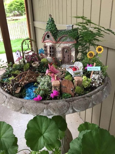 Fairy Garden Design Ideas, Large Fairy Garden, Kids Fairy Garden, Kaktus Dan Sukulen, Fairy Garden Containers, Fairy Garden Pots, Indoor Fairy Gardens, Fairy Garden Ideas, Fairy Garden Plants