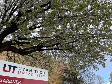 Southern Utah University, Aesthetic University, St George Utah, 2023 Vision, University Of Utah, Southern Utah, 2025 Vision, 2024 Vision, St George