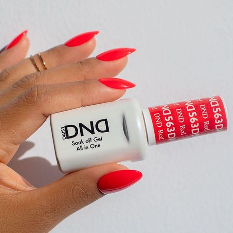 DND Gel on Instagram: “Not your typical true red shade... thanks to its milky pink undertones, DndRed #563 makes the perfect neon polish 🔥 Try this color on your…” Dnd Red, Natural Nails Manicure, Milky Pink, Dnd Gel Polish, Neon Red, Soak Off Gel, True Red, Pretty Acrylic Nails, Gel Color