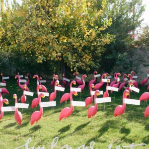 Our Wedding! Creative Seating Cards, Croquet Party, Wedding Food Display, Lawn Flamingos, Flamingo Wedding, Martha Weddings, Find Your Seat, Wedding Guest List, Cards Table