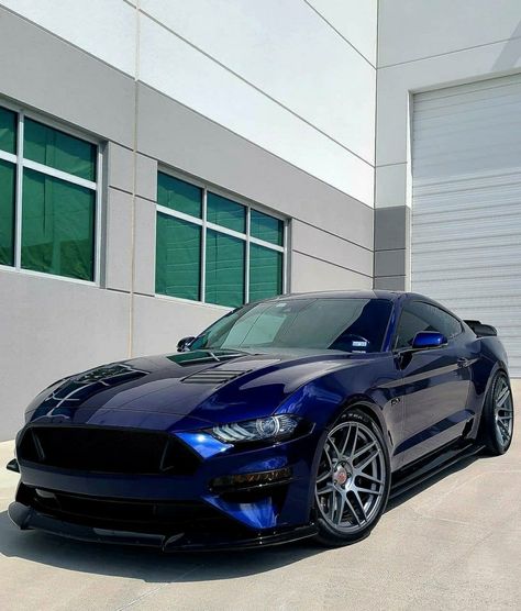 05 Mustang, 2022 Ford Mustang, Biker Boy, Mustang 2005, Blue Mustang, 1973 Mustang, Muscle Cars Mustang, Classic Muscle Cars, Mustang Car