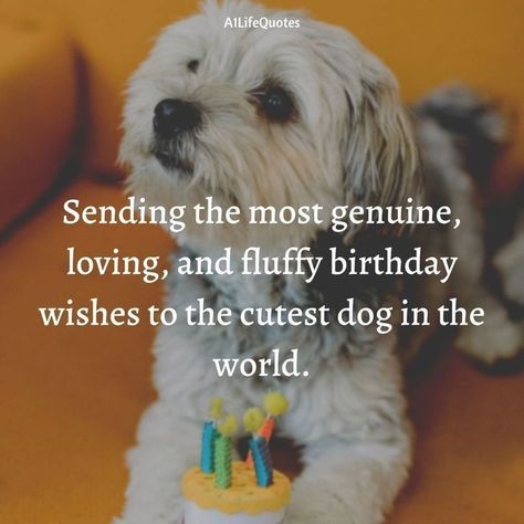 Captions For Dog Pictures, Bulldog Happy Birthday, Dog Birthday Quotes, Dog Birthday Wishes, Birthday Captions For Myself, Bday Quotes, Dogs Quotes, Birthday 4, Birthday Card Sayings