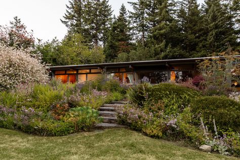 Small Apartment Garden, Ranch House Landscaping, Mid Century Landscaping, Mid Century Modern Ranch, Pacific Northwest Garden, Hilltop House, Pacific Northwest Style, Village Design, Northwest Landscaping