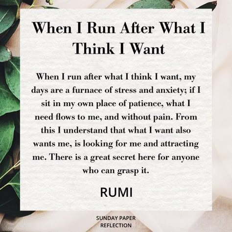 When I Run After What I Think I Want, Rabbi Quotes, 11 11 Aesthetic Quotes, 11 11 Aesthetic, Rumi Poems, Best Rumi Quotes, Face Shape Guide, Arabic Poems, Rumi Quotes Soul