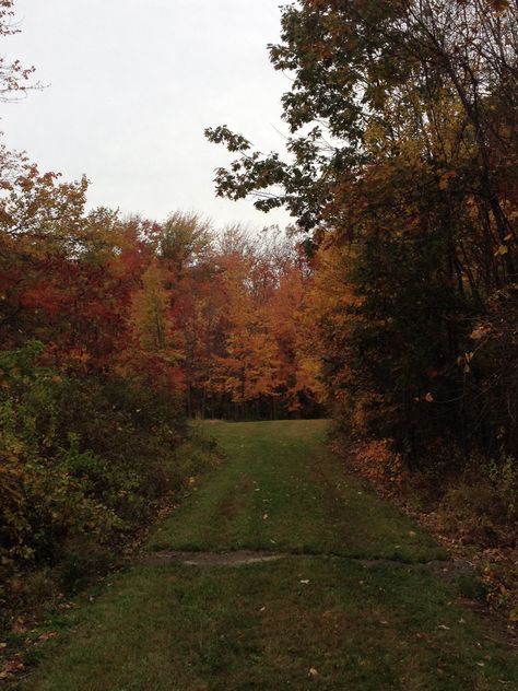 Rural Massachusetts, Massachusetts Autumn, Leominster Massachusetts, Massachusetts Aesthetic, Beverly Massachusetts, Crunchy Leaves, Crisp Air, Fall Inspo, Fall Projects