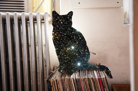 ... Cosmic Cat, Galaxy Cat, Space Cat, Crazy Cat Lady, Crazy Cats, Cat Love, Cool Cats, Cat Art, Collage Art