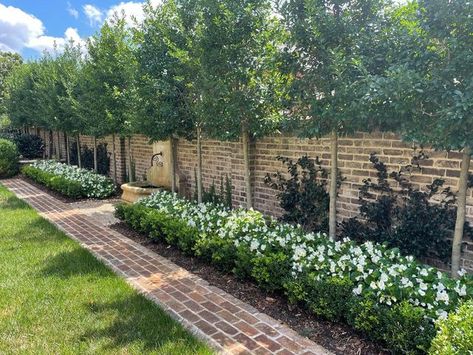 The Morgan Landscape Group on Instagram: "Landscape design can really transform a backyard. Plants soften the brick wall & make it an accent piece! #landscapedesign #residentialdesign #hardscape #backyard #charlottenc #keepingcharlottegreen" Brick Garden Wall, Hardscape Backyard, Brick Courtyard, Garden Retaining Wall, Brick Garden, Instagram Landscape, Backyard Plants, Boundary Walls, Formal Garden