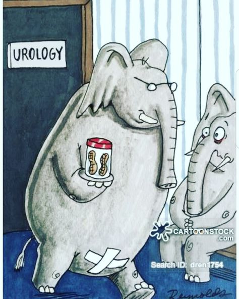 Urology Humor, Medical Videos, Doctor Humor, Doctors Day, Medical Humor, Med Student, Men’s Health, My Office, Funny Words