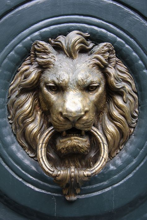 Lion door knocker Antique Door Knockers, Lion Door Knocker, Statue Tattoo, Elephant Carving, Lion Wallpaper, Greek Tattoos, Trending Pins, Baroque Architecture, Door Knocker