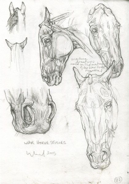 Horses are smart, majestic creatures. Except for the ones that aren't. Twitter user @mckellogs has just posted a thread, portraying the way their family are preparing for the impending snowmageddon, and it's their horse Tango that needs the most attention. Horse Sketch Reference, Horse Anatomy Drawing Sketch, Horse Reference Drawing, Horse Anatomy Drawing, Animal Art Drawing Sketches, Horse Drawing Reference, Horses Anatomy, Horse Head Sketch, Horses Sketch