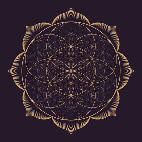 #seedoflife #floweroflife #sacredgeometry #lotusborder Mandala Sacred Geometry, Tattoos Infinity, The Flower Of Life, Sacred Geometry Symbols, Geometry Tattoo, Sacred Geometry Art, Mandalas Drawing, Seed Of Life, Monochrome Design