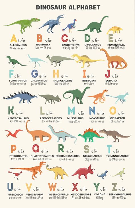 Different Dinosaurs Names, Dinosaur Names For Kids, Names Of Dinosaurs, Dinosaurs Poster, Office Basement, Types Of Dinosaurs, Dinosaur Types, Bar House, Tin Sign Wall Decor