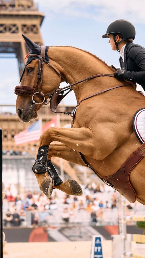 Horseback Riding Outfit, Aesthetic Equestrian, Riding Outfit Equestrian, Horse Photography Poses, Equestrian Outfit, Warmblood Horses, Jumping Horse, Horseback Riding Outfits, Show Jumping Horses