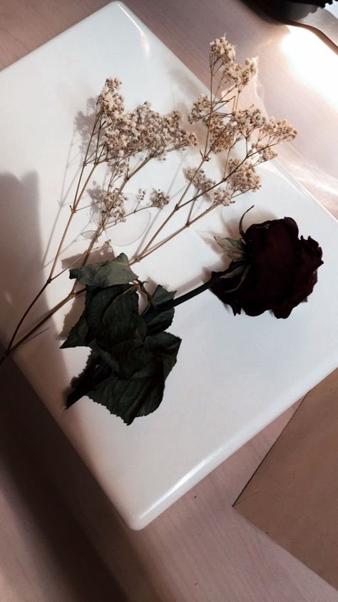 kamu layu☹️🥀 | Estetika bunga, Bunga kering, Bunga Black Rose Bouquet, Boquette Flowers, Diy Yarn Crafts, Book Flowers, Yarn Diy, Insta Photo Ideas, Rose Bouquet, Pretty Flowers, Dark Aesthetic