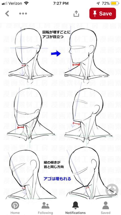 Manga Examples, Anime Head Shapes, Anime Face Shapes, Manga Materials, Character Composition, Neck Drawing, Anime Reference, Anime Face, Anime Head