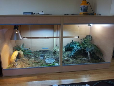 New indoor enclosure for my little leopard | Tortoise Forum Tortoise Enclosure Ideas, Tortoise Enclosure Indoor, Tortoise Terrarium, Tortoise Cage, Russian Tortoise Diet, Turtle Homes, Tortoise House, Tortoise Enclosure, Tortoise Table