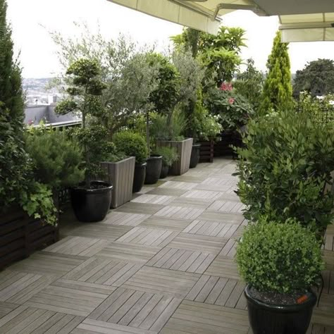 Terrace Plants, Roof Garden Design, Balcony Planters, Terrace Decor, Rooftop Design, Balcony Plants, Garden Deco, Terrace Design, Rooftop Garden