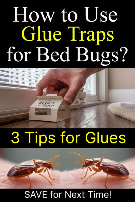 Master bedbug extermination with our comprehensive guide "How to Use Glue Traps for Bed Bugs?“ Get insights, tips and recommendations. What are Glue Traps? Step-by-Step Guide to Using Glue Traps. Tips for Enhancing Trap Efficiency. 3 Top Recommended. Bed Bug Trap, Signs Of Bed Bugs, Get Rid Of Bed Bugs, Bug Spray Recipe, Kill Bugs, Rid Of Bed Bugs, Glue Traps, Constant Headaches, Bug Killer