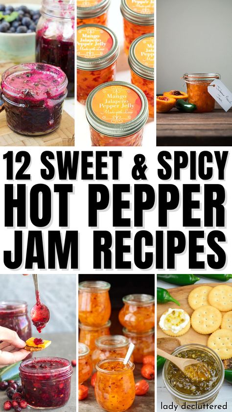 12 Sweet & Spicy Hot Pepper Jam Recipes Bacon Habanero Jam, Mixed Berry Jalapeno Jam, Pepper Chutney Recipes, Spicy Apricot Jam, Strawberry Rhubarb Jalapeno Jam, Strawberry Habanero Jam, Hot Pepper Peach Jam Recipe, Peach Pepper Jam Recipe, Hot Pepper Jam Recipes