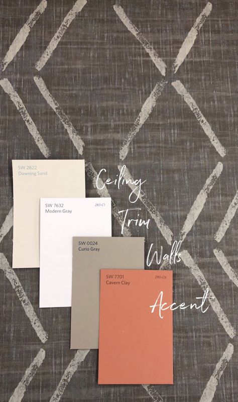 Saltillo Tile Color Palette, Cavern Clay Living Room, Cavern Clay Bathroom, Cavern Clay Bedroom, Sw Modern Gray Color Palette, Sw Cavern Clay, Sw Canyon Clay, Desert Clay Paint Color, Cavern Clay Paint Color Schemes