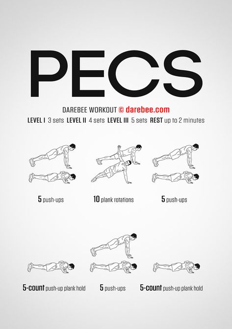 Pecs Workout Pecs Workout, Pec Workouts, Shred Workout, Chest Workout At Home, Chest Workout For Men, Home Workout Men, Superhero Workout, Gym Workout Planner, Workout Routine For Men