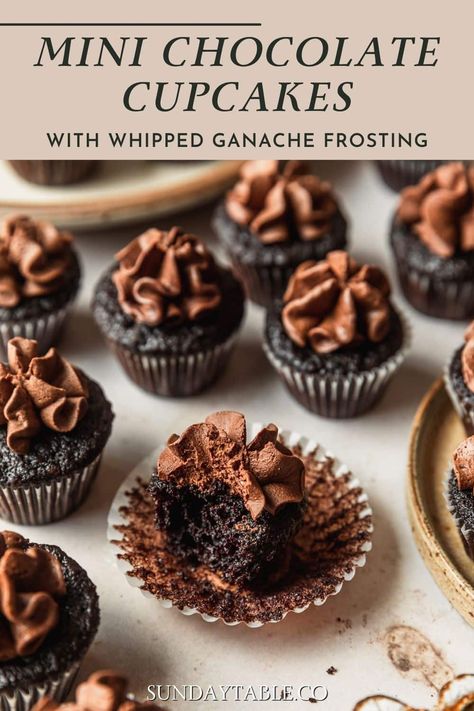 Attention chocolate lovers! You need to make these mini chocolate cupcakes with whipped ganache frosting ASAP. This cupcake recipe is moist, easy, one-bowl. The frosting is simple, has just a few ingredients, and tastes like fudge. These cupcakes are one of my favorite bite sized desserts for holidays, parties, birthdays, and more. You could even put them on a dessert bar - so cute! Decorate them with chocolate shavings, sprinkles, nuts, candy, and more. You'll love these gourmet mini cupcakes! Mini Chocolate Cupcakes Moist, Chocolate Fudge Cupcakes Recipe, Pretty Chocolate Cupcakes, Gourmet Cupcakes Recipes, Mini Cupcakes Ideas, Mini Cupcakes Recipe, Mini Cupcake Recipe, Chili Cupcakes, Whipped Ganache Frosting