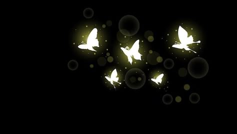 Glowing Butterfly Png, Magic Butterflies, Bullet Journal Icons, Glowing Butterfly, Template Rp, Cream Packaging, Glow Light, Black Background Images, Background Wallpaper For Photoshop