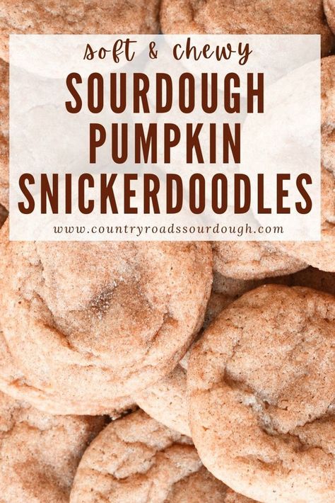 These Sourdough Pumpkin Snickerdoodle Cookies are the best fall dessert! With a soft, chewy texture and pumpkin spice flavor, these cookies are made with sourdough discard and rolled in a sweet cinnamon sugar coating. Easy to make, egg-free, and perfect for fall baking, they’re a great addition to your holiday cookie lineup. Enjoy them as a homemade, from-scratch treat that’s sure to become a new favorite. Ideal for Halloween, Thanksgiving, or any cozy autumn day! Sourdough Pumpkin Whoopie Pies, Sourdough Pumpkin Snickerdoodle Cookies, Fall Sourdough Cookies, Sourdough Discard Halloween, Sourdough Discard Pumpkin Cookies, Pumpkin Sourdough Discard Recipes, Sourdough Pumpkin Cookies, Sourdough Pumpkin Recipes, Sourdough Sugar Cookies