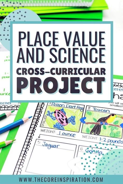 3rd Grade Place Value, Fun Math Projects, Project Based Learning Elementary, Cross Curricular Projects, Teach Place Value, Math Stem Activities, Project Based Learning Math, Math Activities Elementary, Expository Writing