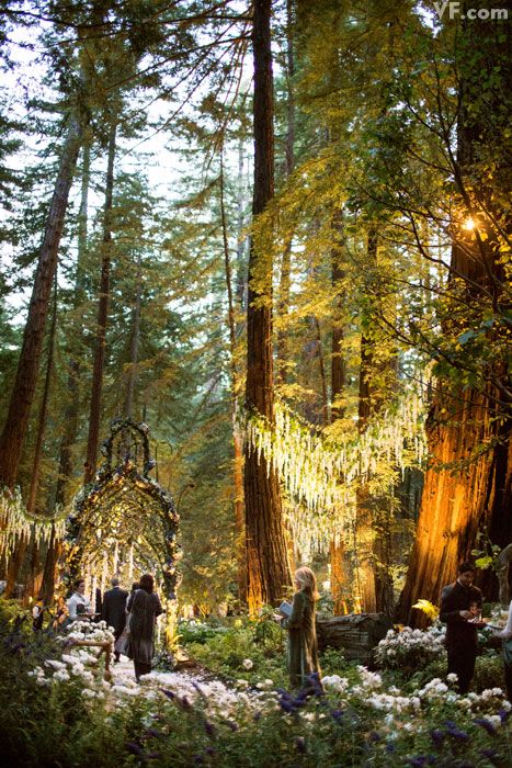 Sean Parker Wedding, Norwegian Wedding, Wedding Slideshow, Big Sur Wedding, Enchanted Forest Wedding, Lights Hanging, Medieval Wedding, Enchanted Wedding, Fairy Wedding